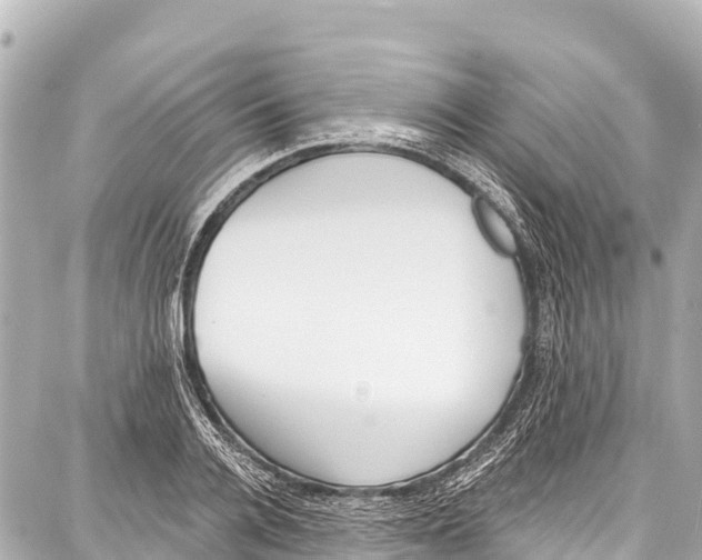 X0000086880936200705141407