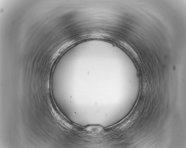 X0000086880938200705141407