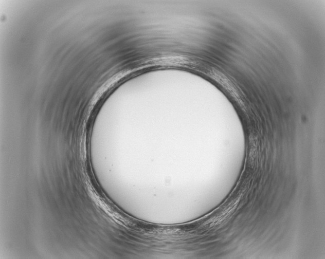 X0000086880939200705141407