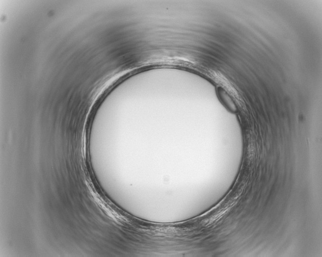 X0000086880940200705141407