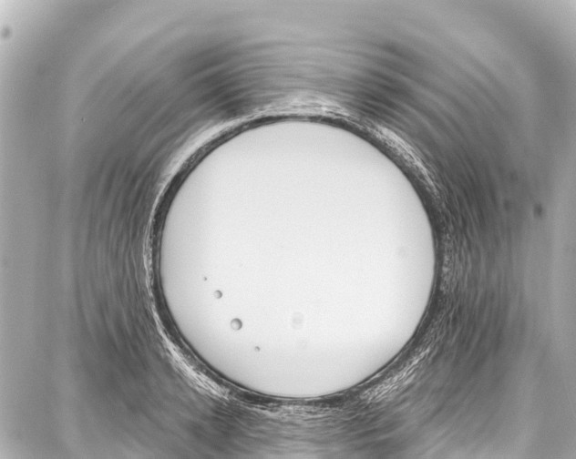 X0000086880942200705141407