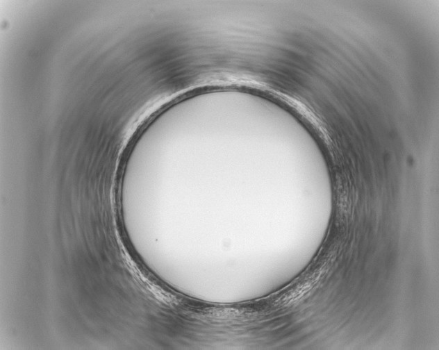 X0000086880943200705141407