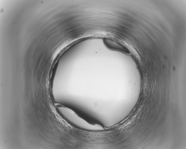 X0000086880944200705141407