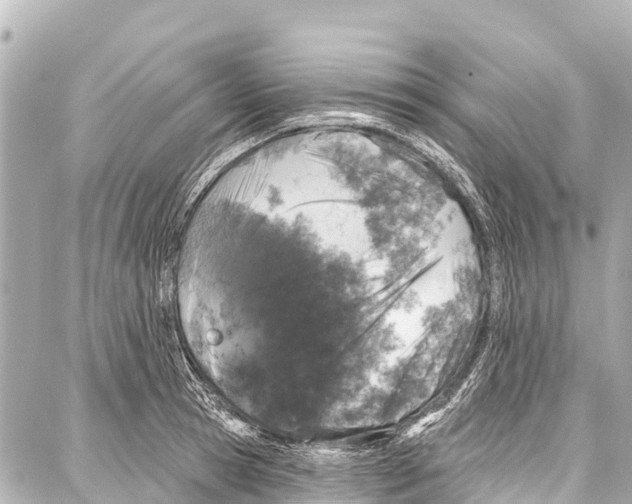 X0000086880945200705141407