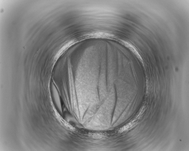 X0000086880946200705141407