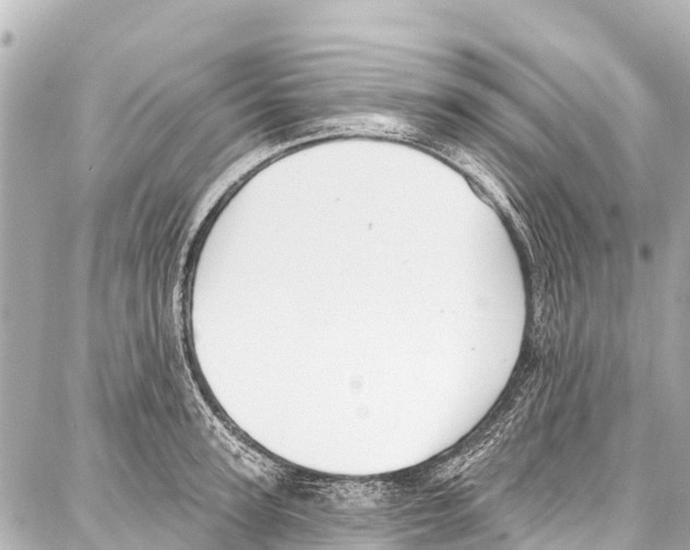 X0000086880947200705141407