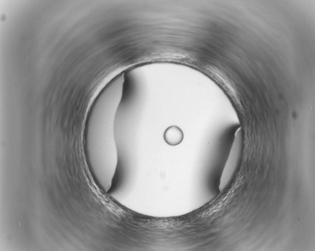 X0000086880948200705141407