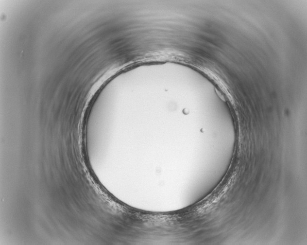 X0000086880949200705141407