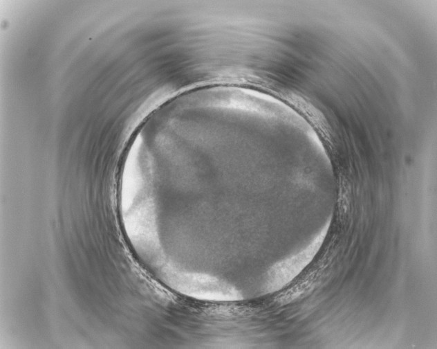 X0000086880950200705141407