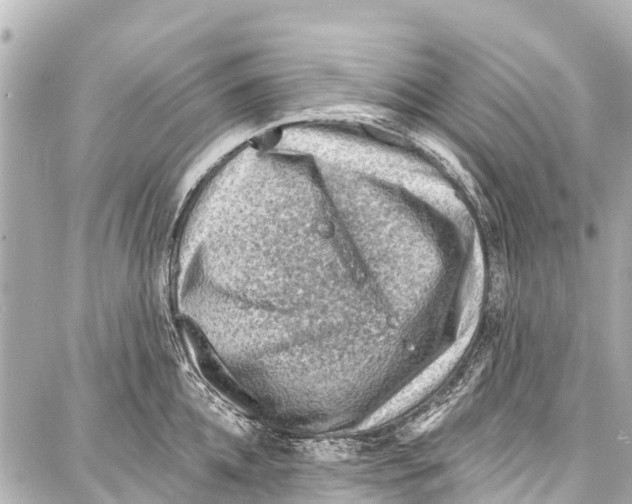 X0000086880952200705141407