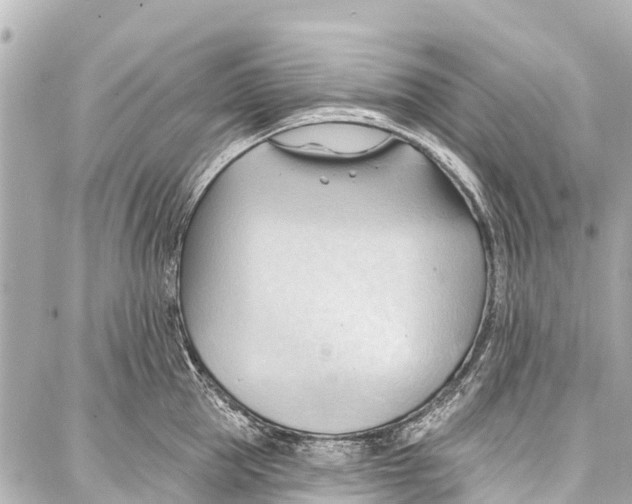 X0000086880953200705141407