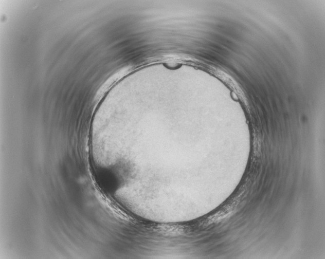 X0000086880954200705141407