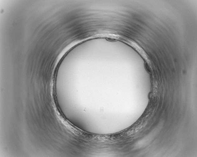 X0000086880955200705141407