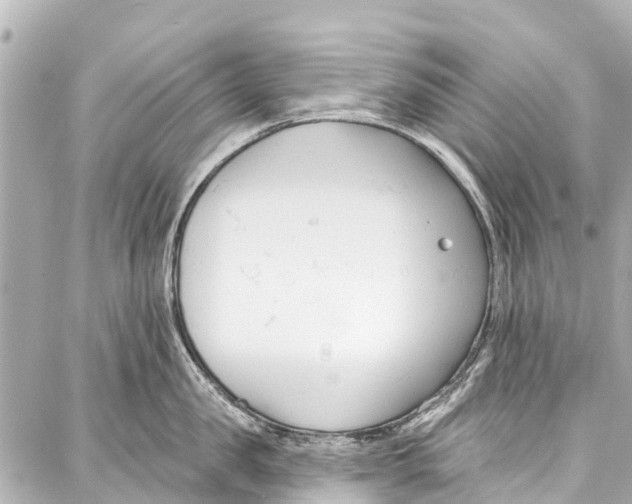 X0000086880957200705141407