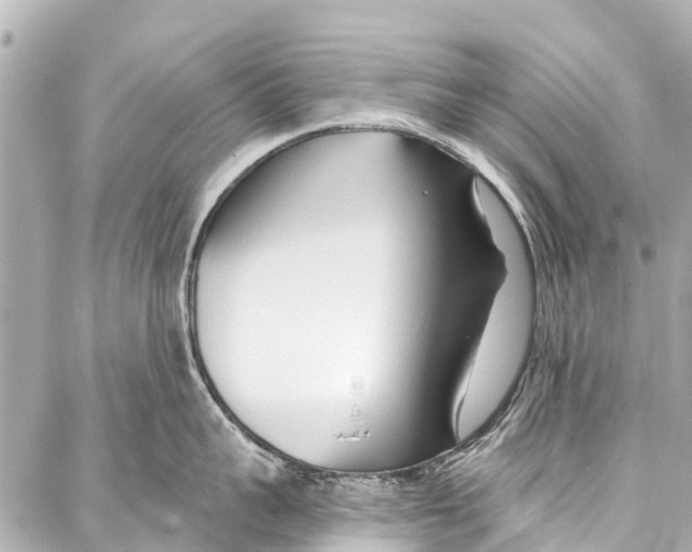 X0000086880959200705141407