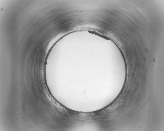 X0000086880960200705141407