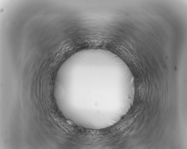 X0000086880961200705141406