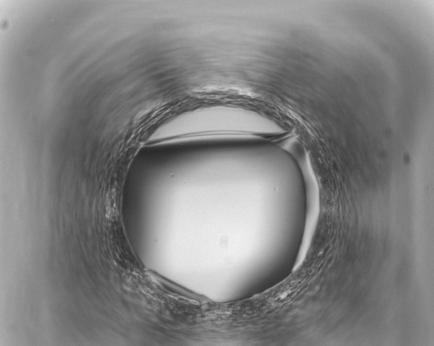 X0000086880965200705141406