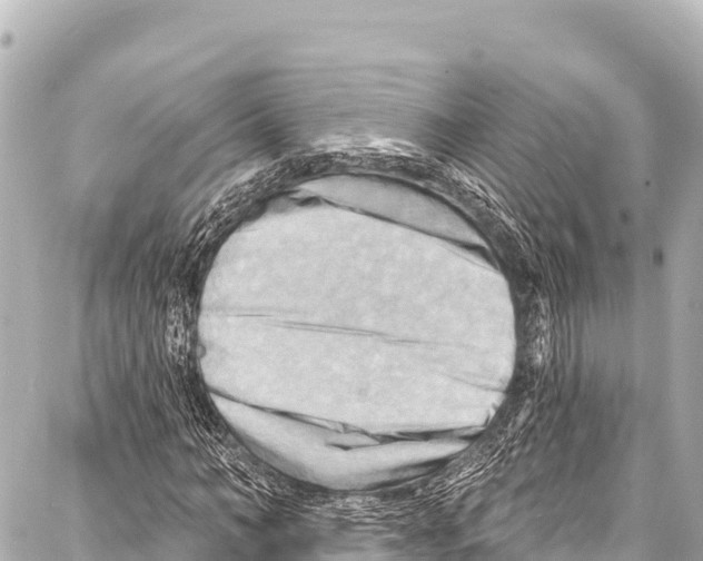 X0000086880966200705141406