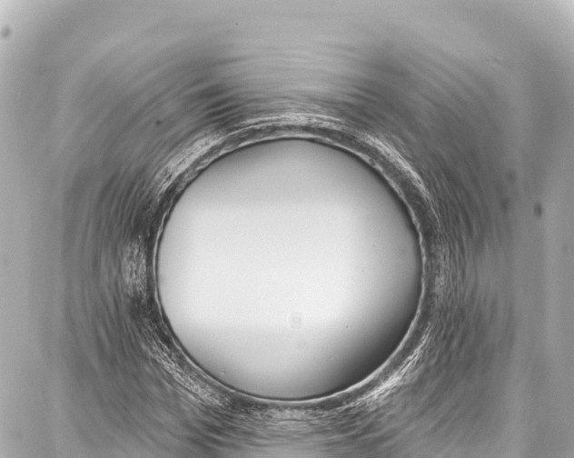 X0000086880969200705141406