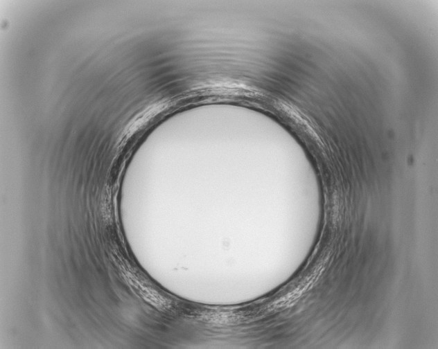 X0000086880970200705141406