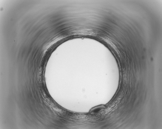 X0000086880971200705141406