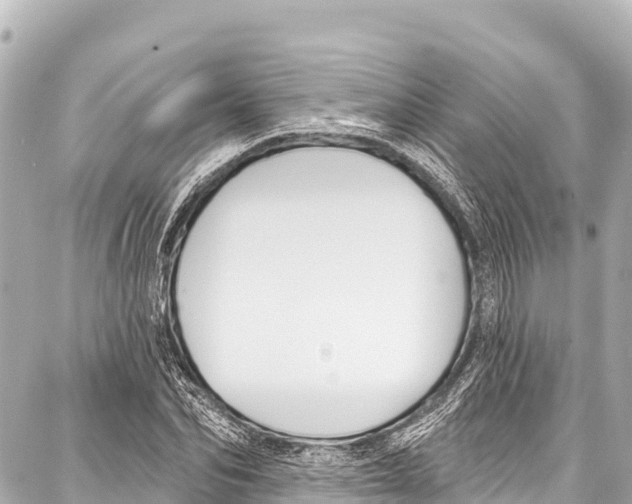 X0000086880974200705141406