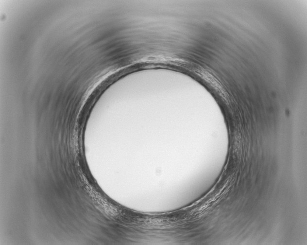 X0000086880976200705141406