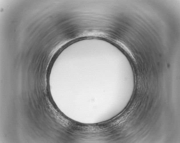 X0000086880980200705141406