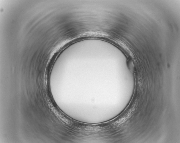 X0000086880981200705141406