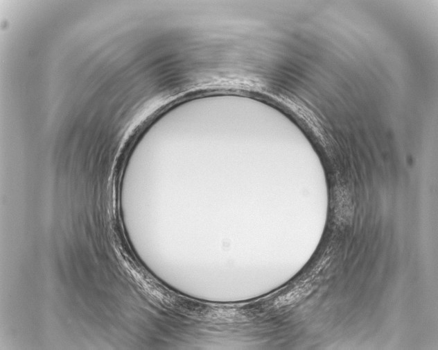 X0000086880982200705141406