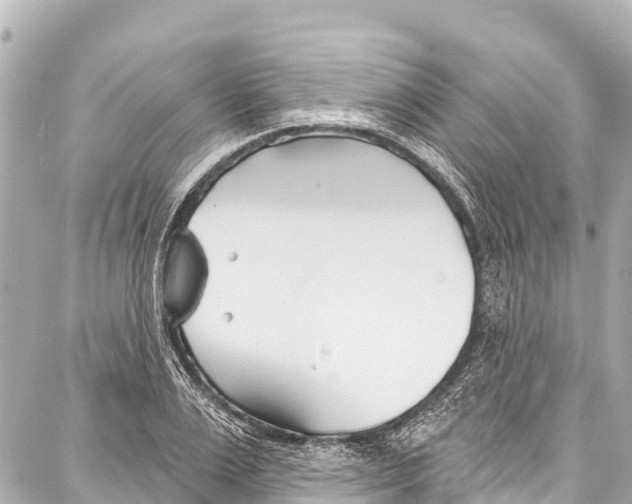 X0000086880983200705141406