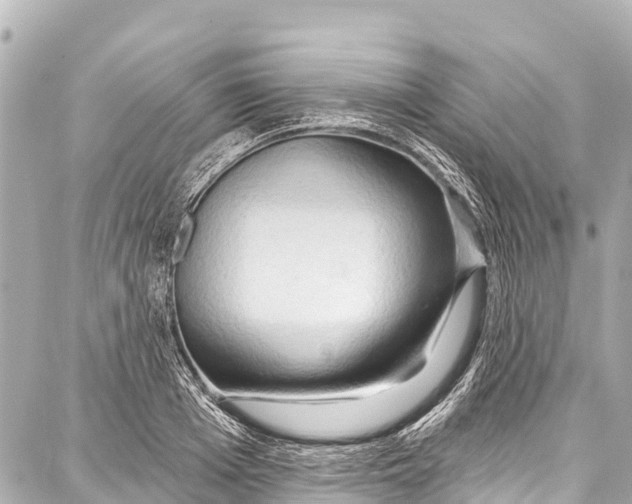 X0000086880985200705141406