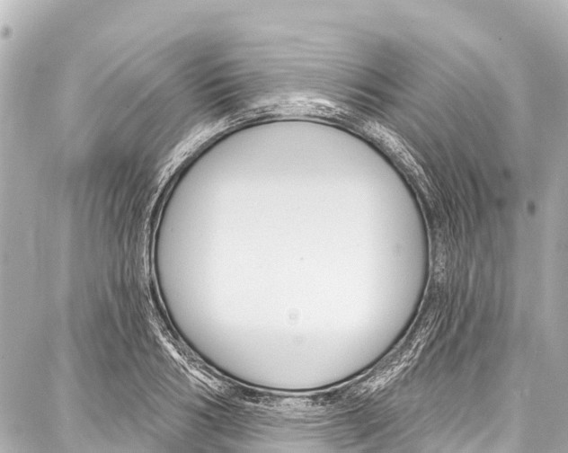 X0000086880986200705141406