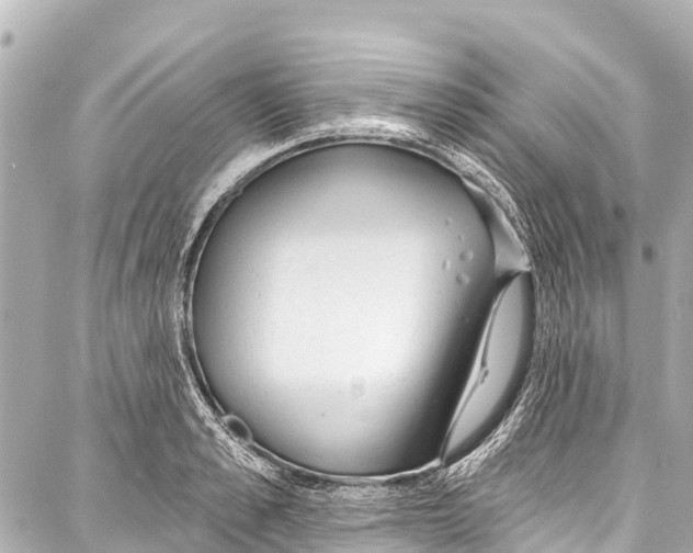 X0000086880989200705141406