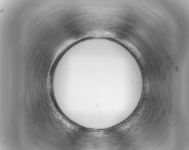 X0000086880990200705141406