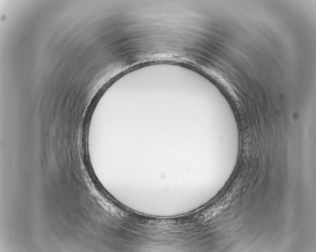 X0000086880991200705141406