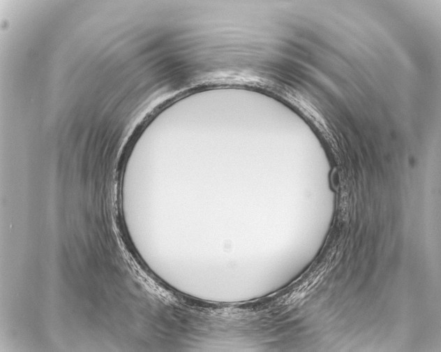 X0000086880992200705141406