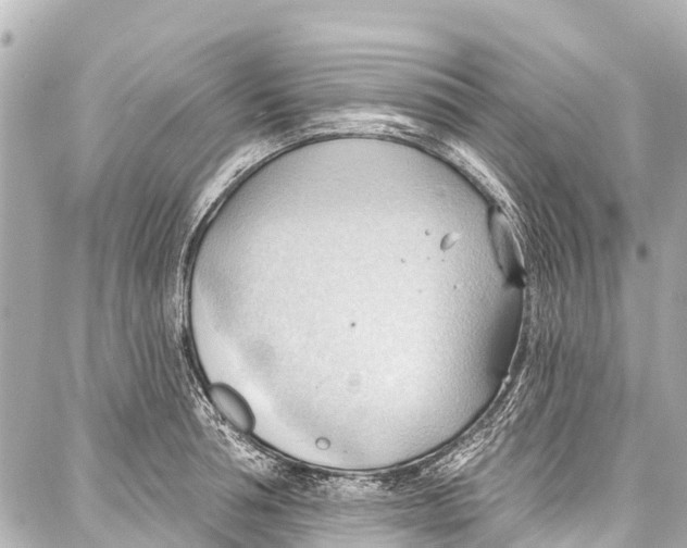 X0000086880994200705141406