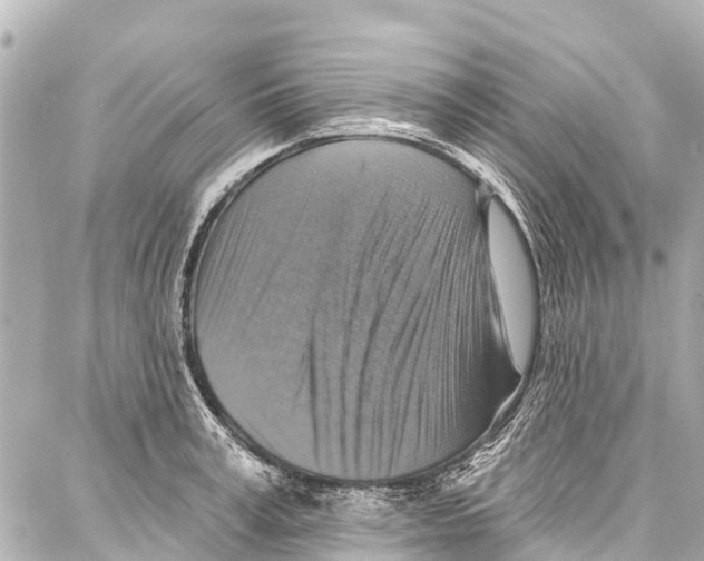 X0000086880995200705141406