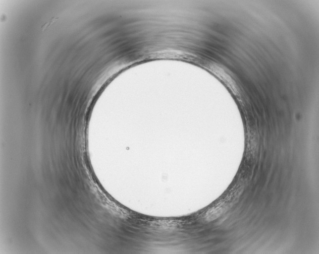 X0000086881000200705141406