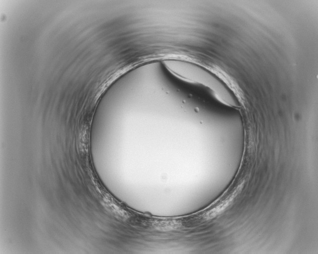 X0000086881001200705141406