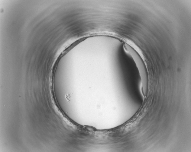 X0000086881005200705141405