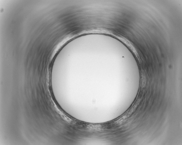 X0000086881006200705141405