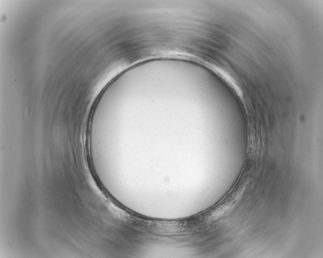 X0000086881007200705141405