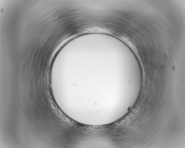 X0000086881008200705141405