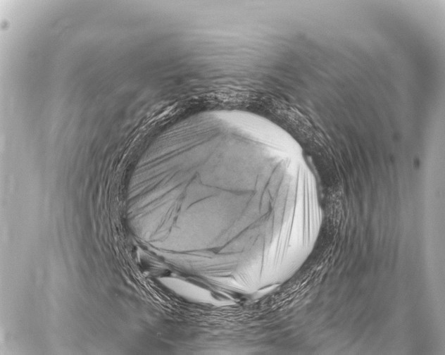 X0000086881009200705141405