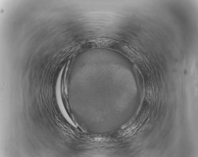 X0000086881010200705141405