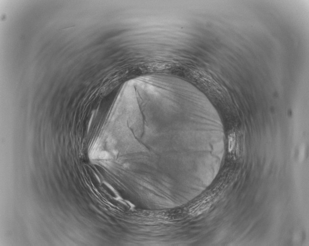 X0000086881011200705141405