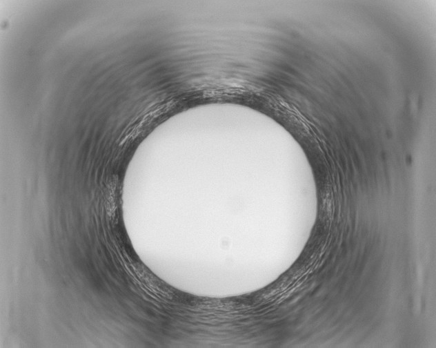 X0000086881012200705141405